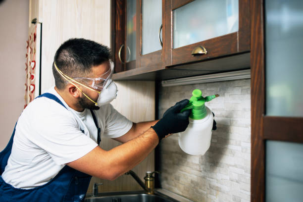 Best Mosquito Control Services  in Lakewood Clu, MI