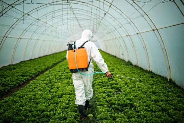 Best Ant Control Services  in Lakewood Clu, MI