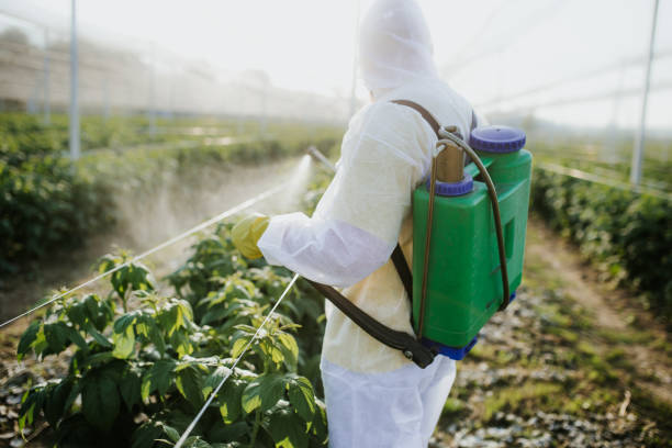 Best Wasp Removal Services  in Lakewood Clu, MI